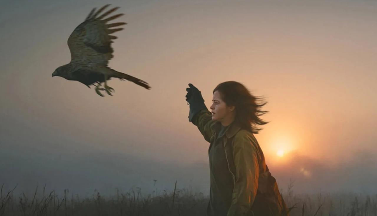 فيلم H Is for Hawk 2025 مترجم